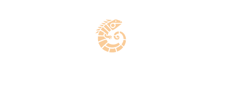 La Iguana Café usa thurni